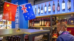 Hứng chịu mức thuế 'khủng', xuất khẩu rượu vang của Australia sang Trung Quốc giảm kỷ lục
