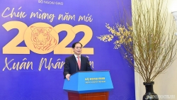 Đối ngoại Việt Nam: 'Chủ trương một, biện pháp mười, quyết tâm hai mươi'