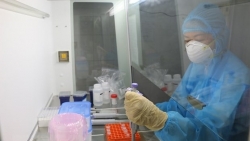 Covid-19 tại Việt Nam sáng 11/6: Thêm 51 ca mắc mới, có 79 bệnh nhân tiên lượng rất nặng