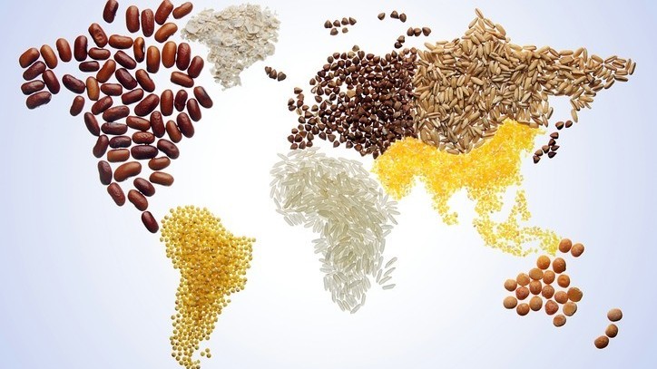 Bài toán cân bằng cuộc chiến chống biến đổi khí hậu với an ninh lương thực