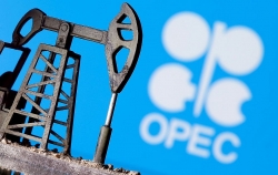 OPEC+: Thị trường dầu ‘miễn nhiễm’ với biến thể Omicron
