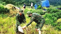 Bộ đội Biên phòng Quảng Bình hỗ trợ dân giảm thiệt hại do mưa bão