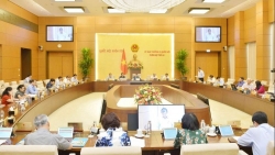 Bên lề Kỳ họp thứ 10 Quốc hội Khóa XIV: Muốn hút 'đại bàng', cần 'lót ổ' nhanh và kỹ