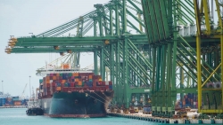 Phí vận tải biển ở châu Á cao kỷ lục do thiếu container