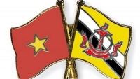 Thư mừng Quốc khánh Brunei và kỷ niệm 30 năm thiết lập quan hệ ngoại giao Việt Nam-Brunei
