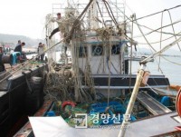 Tìm thấy thi thể một thuyền viên người Việt mất tích tại Hàn Quốc