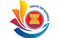 Việt Nam đang tham vấn các nước ASEAN và đối tác về khả năng chưa tổ chức Hội nghị Cấp cao vào tháng 4/2020