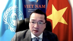 Các nước Hội đồng Bảo an lên án hoạt động bạo lực nhằm vào người di cư, phụ nữ và trẻ em tại Yemen