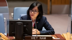 Việt Nam ủng hộ và đánh giá cao những nỗ lực của Lực lượng lâm thời Liên hợp quốc tại Lebanon