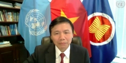 Việt Nam chủ trì phiên họp trực tiếp về tiến trình bầu cử và an ninh của Somalia