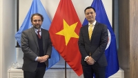 Đại sứ Việt Nam tại Liên hợp quốc tiếp Đặc phái viên Công ước quốc tế về cấm mìn sát thương