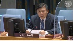 Việt Nam kêu gọi các bên liên quan thúc đẩy nối lại các cuộc đàm phán về vấn đề Palestine