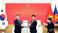 Năm 2022 là năm đặc biệt của người Việt tại Hàn Quốc