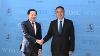 Việt Nam coi trọng vai trò trung tâm của WTO trong thúc đẩy hệ thống thương mại đa phương mở, minh bạch, dựa trên luật lệ