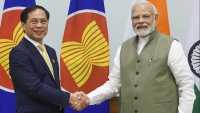Chuyên gia: Việt Nam là 'mỏ neo' trong chính sách Ấn Độ tại châu Á