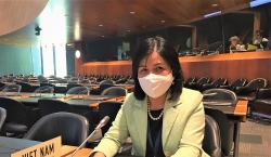 Việt Nam tham dự Phiên Rà soát Chính sách thương mại của Nhật Bản tại WTO