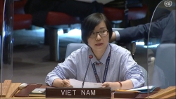 Việt Nam kêu gọi các bên liên quan thực hiện nghiêm túc, đầy đủ JCPOA và Nghị quyết 2231