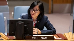 Việt Nam kêu gọi tất cả các bên liên quan tại Lebanon tuân thủ nghiêm túc Nghị quyết 1701