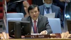 Hội đồng Bảo an họp về tình hình Trung Đông, bao gồm vấn đề Palestine