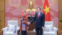 Thúc đẩy hợp tác nghị viện giữa Việt Nam và Indonesia