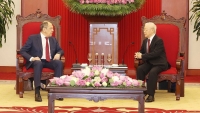 Thu xếp khách nước ngoài chào Lãnh đạo Đảng, Nhà nước Việt Nam