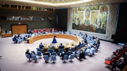 Hội đồng Bảo an thông qua Tuyên bố Chủ tịch về Phái bộ UNAMID