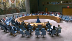Hội đồng Bảo an họp về tình hình Trung Đông, bao gồm vấn đề Palestine