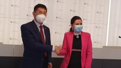 Đại sứ Nguyễn Tuấn làm việc với Bộ Y tế Slovakia về vấn đề vaccine và phòng chống Covid-19