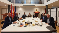 Đại sứ quán Việt Nam làm việc với các đối tác Hà Lan thúc đẩy ngoại giao y tế phòng chống dịch