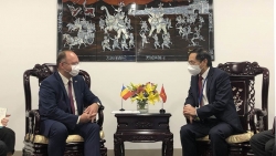 Việt Nam-Romania: Thúc đẩy trao đổi, tiếp xúc cấp cao