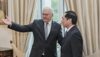 Bộ trưởng Ngoại giao Bùi Thanh Sơn chào xã giao Tổng thống Đức Frank-Walter Steinmeier