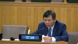 Việt Nam đại diện ASEAN phát biểu tại Ủy ban các vấn đề kinh tế, tài chính của Đại hội đồng LHQ