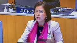 Việt Nam đề nghị WIPO tiếp tục giúp đỡ trong việc thực hiện Chiến lược sở hữu trí tuệ quốc gia