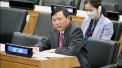 Việt Nam kêu gọi các nước tôn trọng nguyên tắc giải quyết hòa bình các tranh chấp quốc tế