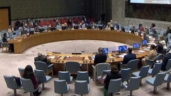 Hội đồng Bảo an LHQ họp về tình hình Trung Đông, bao gồm vấn đề Palestine
