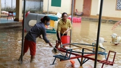 Lãnh đạo Đức, Ai Cập gửi thư, điện thăm hỏi về lũ lụt tại các tỉnh miền Trung