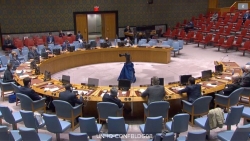 Hội đồng Bảo an Liên hợp quốc họp bàn về tình hình Lebanon và Mali
