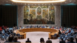 Hội đồng Bảo an Liên hợp quốc gia hạn nhiệm vụ Phái bộ gìn giữ hòa bình tại CH. Trung Phi