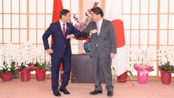 Bộ trưởng Ngoại giao Bùi Thanh Sơn và Bộ trưởng Ngoại giao Nhật Bản hội đàm
