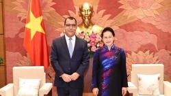 Chủ tịch Quốc hội Nguyễn Thị Kim Ngân tiếp các Đại sứ đến chào từ biệt