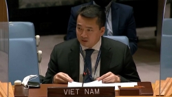 Việt Nam khẳng định tầm quan trọng của việc thực hiện đầy đủ Công ước Cấm Vũ khí hoá học