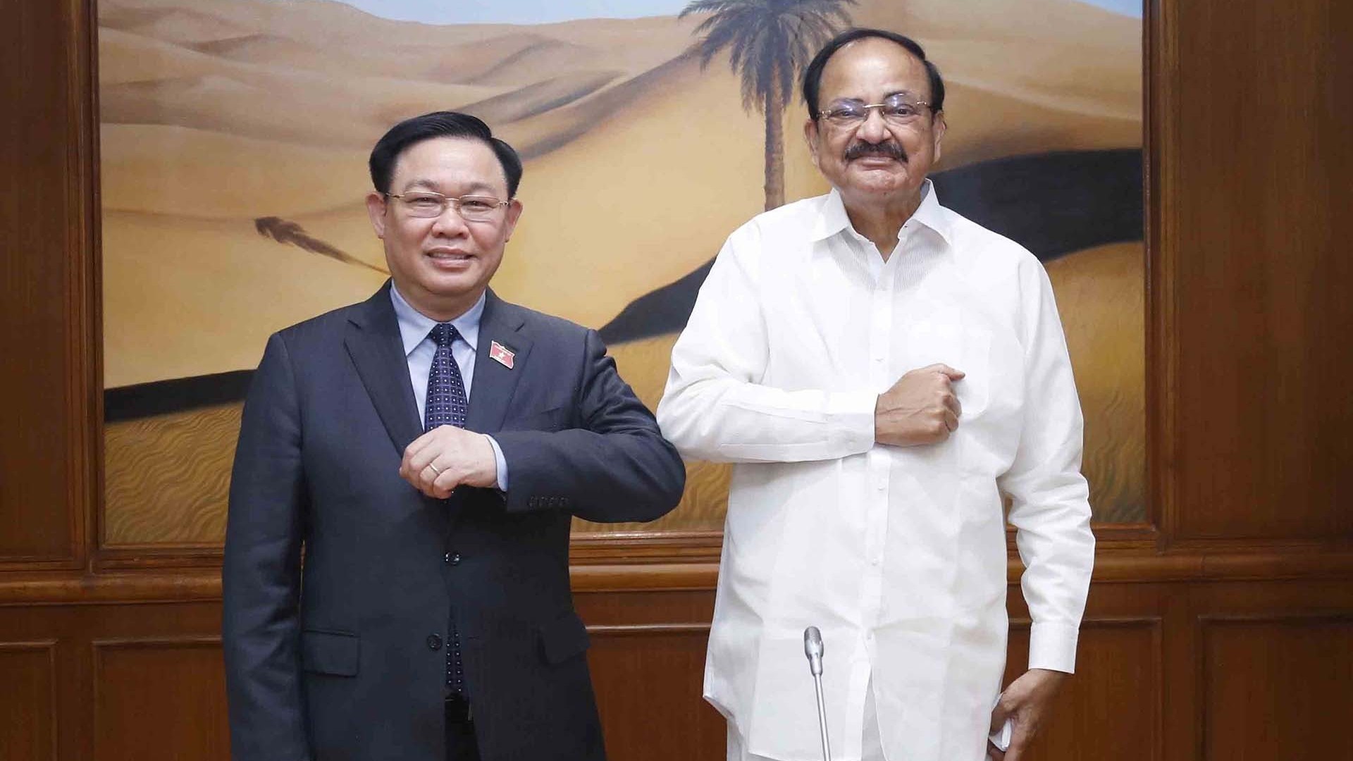 Việt Nam luôn coi trọng quan hệ Đối tác chiến lược toàn diện với Ấn Độ