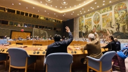 Hội đồng Bảo an thông qua nghị quyết liên quan tới Afghanistan và tăng cường các biện pháp cấm vận vũ khí bất hợp pháp
