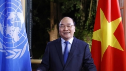 Việt Nam tự tin, sẵn sàng gánh vác nhiều trọng trách quốc tế vì hòa bình và phát triển bền vững