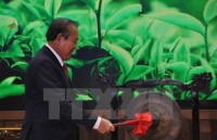 Việt Nam luôn coi trọng và ủng hộ hợp tác ASEAN - Trung Quốc