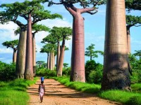 Cơ hội lớn cho du lịch Madagascar