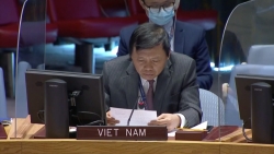 Việt Nam với HĐBA: Việt Nam kêu gọi xây dựng lòng tin giữa các bên để thúc đẩy tiến trình chính trị tại Syria