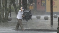 Thiên tai, tai nạn thế giới ngày 13/8: Sập sân khấu ở Tây Ban Nha, Philippines có động đất mạnh, bão gây mưa lớn tại Nhật Bản