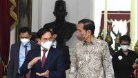 Indonesia-Việt Nam: Mối quan hệ đối tác đích thực vì sự phát triển