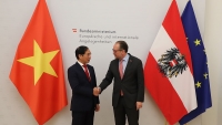 Bộ trưởng Ngoại giao Bùi Thanh Sơn hội đàm với Bộ trưởng Ngoại giao Áo
